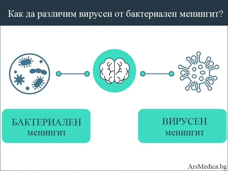 virusen-ot-bakterialen-meningit вирусен от бактериален менингит