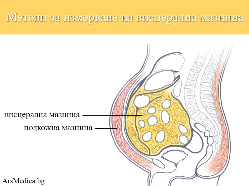 Как се измерва висцерална мазнина?