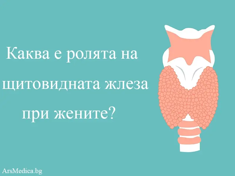 Каква е ролята на щитовидната жлеза при жените?