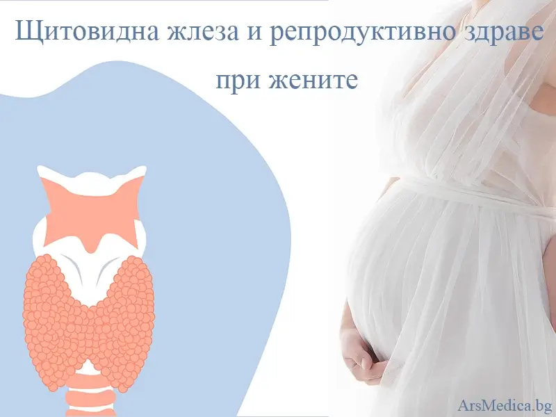 Щитовидна жлеза и репродуктивно здраве на жената