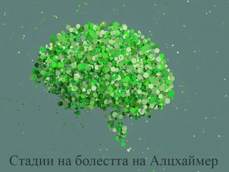 Стадии на болестта на Алцхаймер