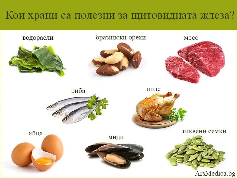 hrani-shtitovidna-zhleza_1 кои храни са полезни за щитовидната жлеза