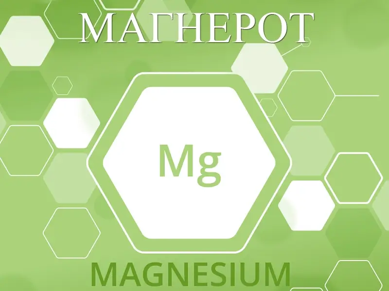 magnerot-500 магнерот (magnerot)