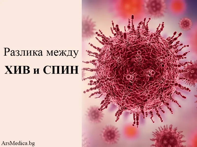 Какво представляват ХИВ и СПИН и каква е разликата между тях?